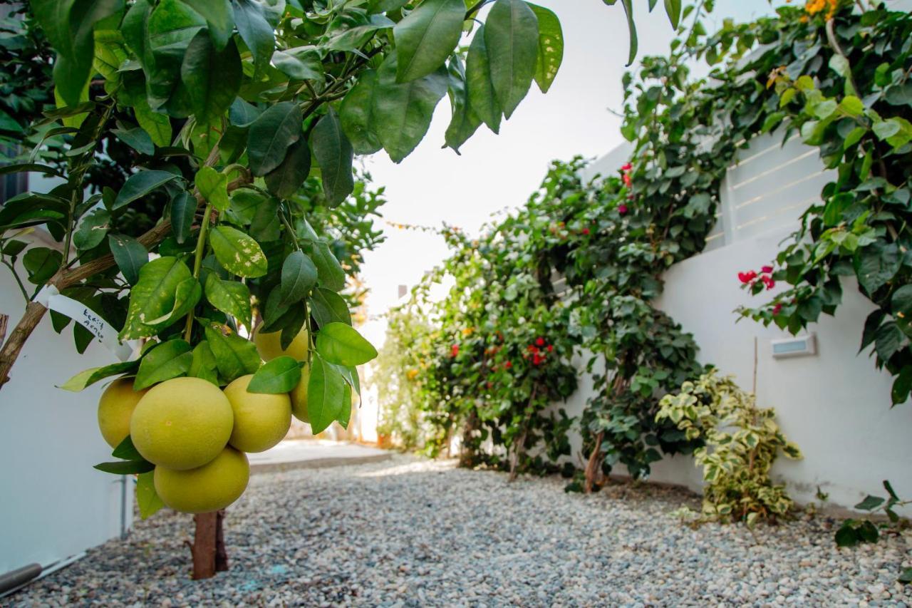 Island Home Seaside Villa Paralimni Zewnętrze zdjęcie